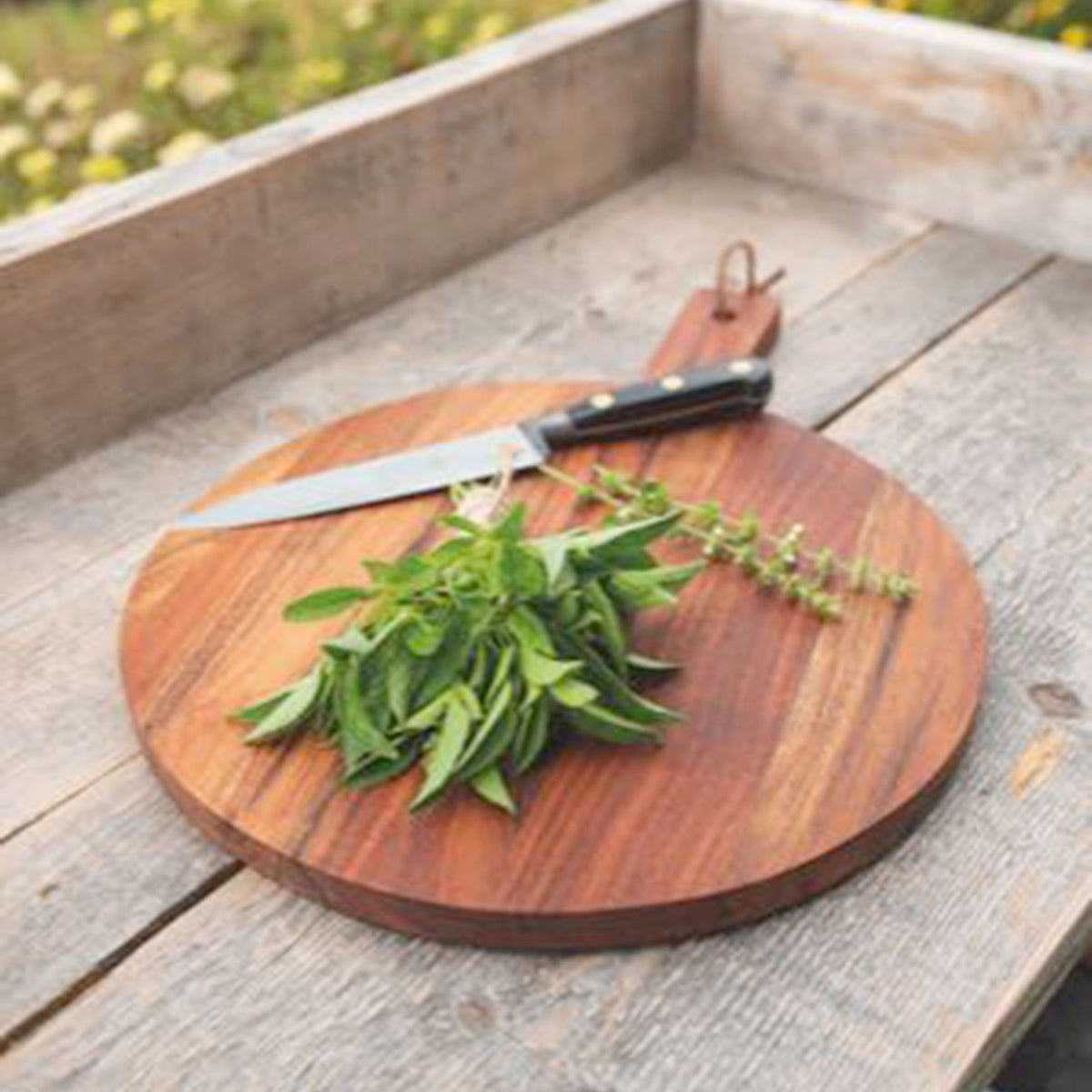 Lemon basil Ocimum basilicum - Herb seeds