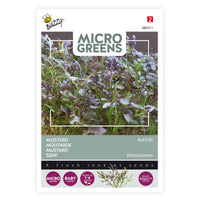 Mustard Brassica 'Red Frills' - Herb seeds