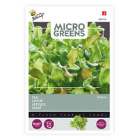 Lettuce Lactuca sativa - Mix - Vegetable seeds