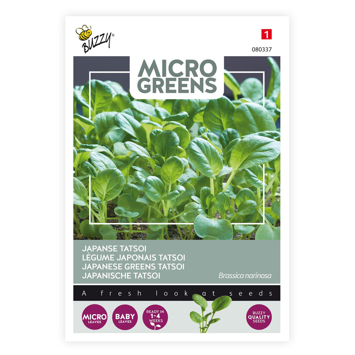 Tatsoi Brassica narinosa - Vegetable seeds