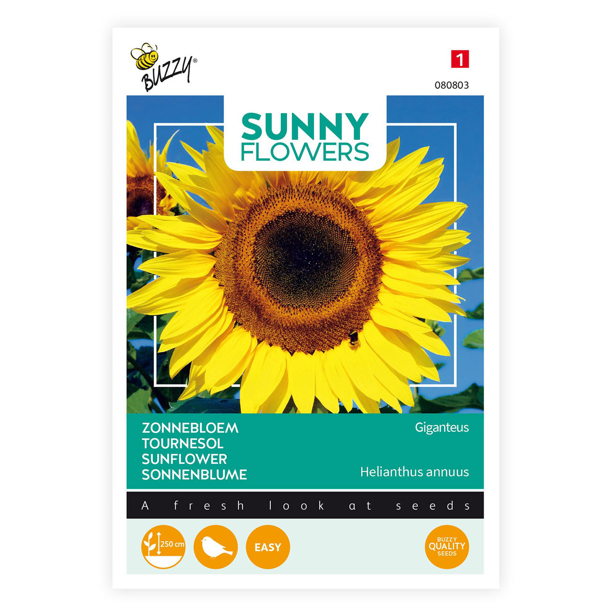 Giant sunflower Helianthus 'Giganteus' yellow 6 m² - Flower seeds