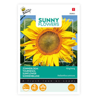 Sunflower Helianthus 'King Kong' yellow 5 m² - Flower seeds