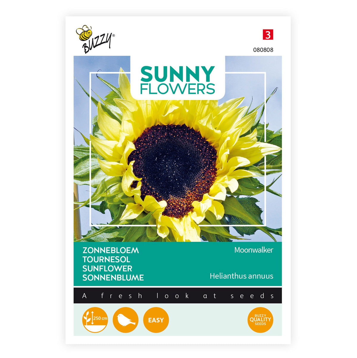 Sunflower Helianthus 'Moonwalker' yellow 3 m² - Flower seeds