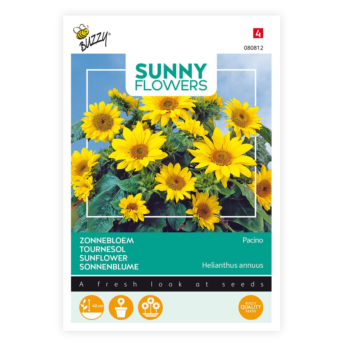 Sunflower Helianthus 'Pacino Gold' yellow 3 m² - Flower seeds