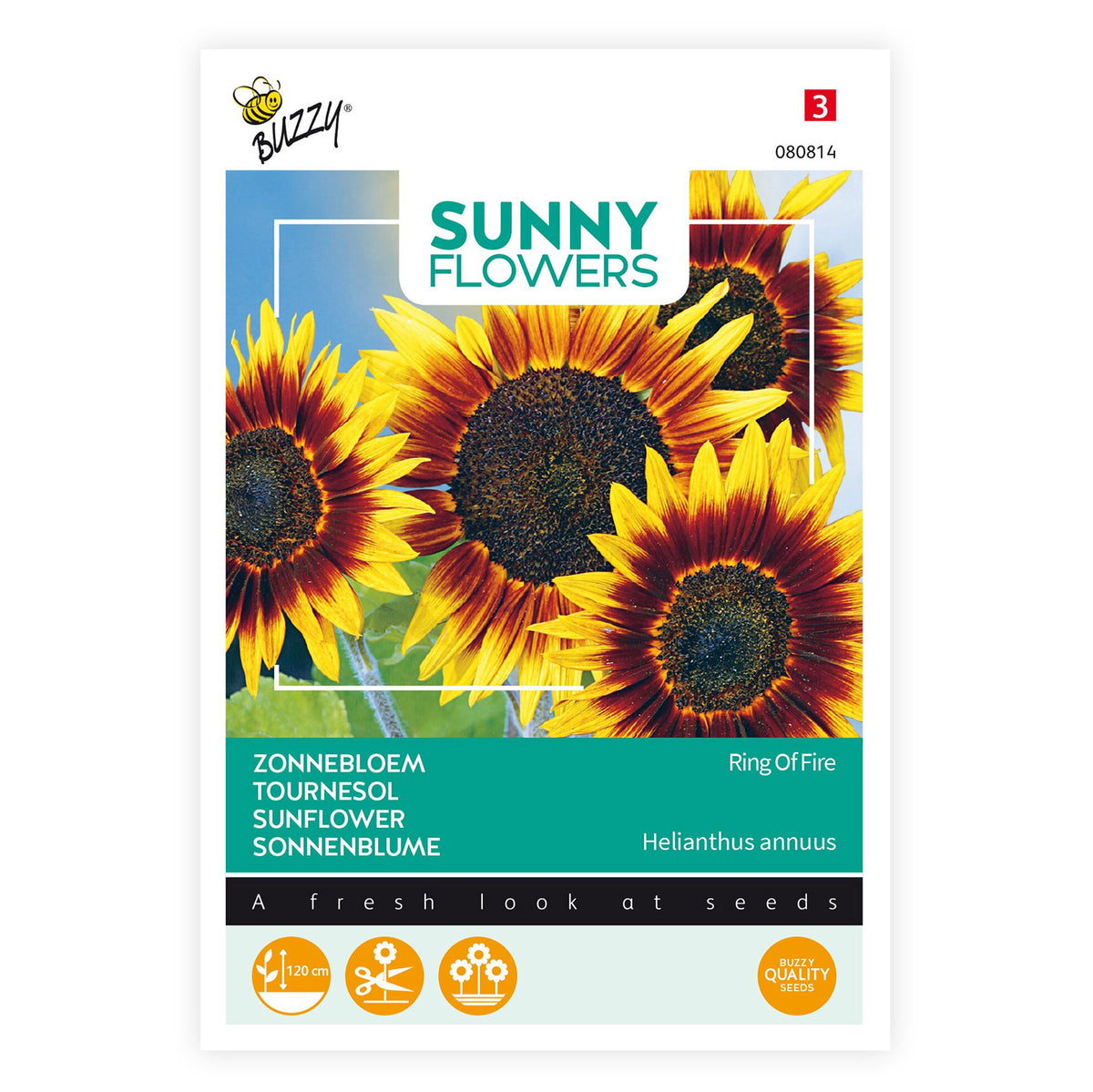 Sunflower Helianthus 'Ring of Fire' red 3 m² - Flower seeds