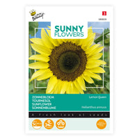 Sunflower Helianthus 'Lemon Queen' yellow 3 m² - Flower seeds