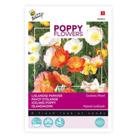Poppy nudicaule - Mix yellow-orange-white 45 m² - Flower seeds