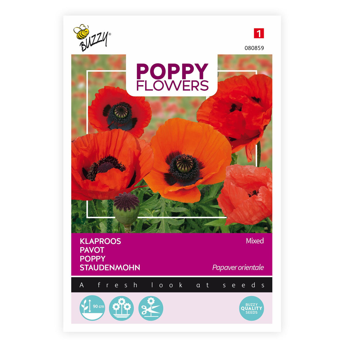 Poppy orientale orange-red 2 m² - Flower seeds