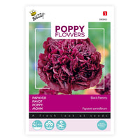 Poppy 'Black Paeony' purple 1 m² - Flower seeds
