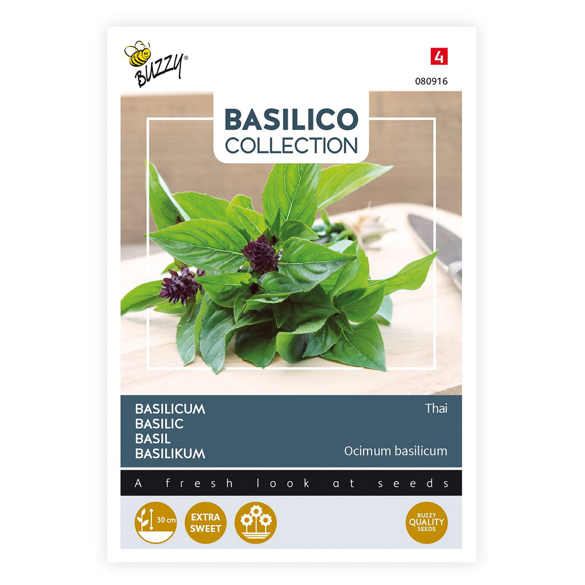 Thai basil Ocimum 10 m² - Herb seeds