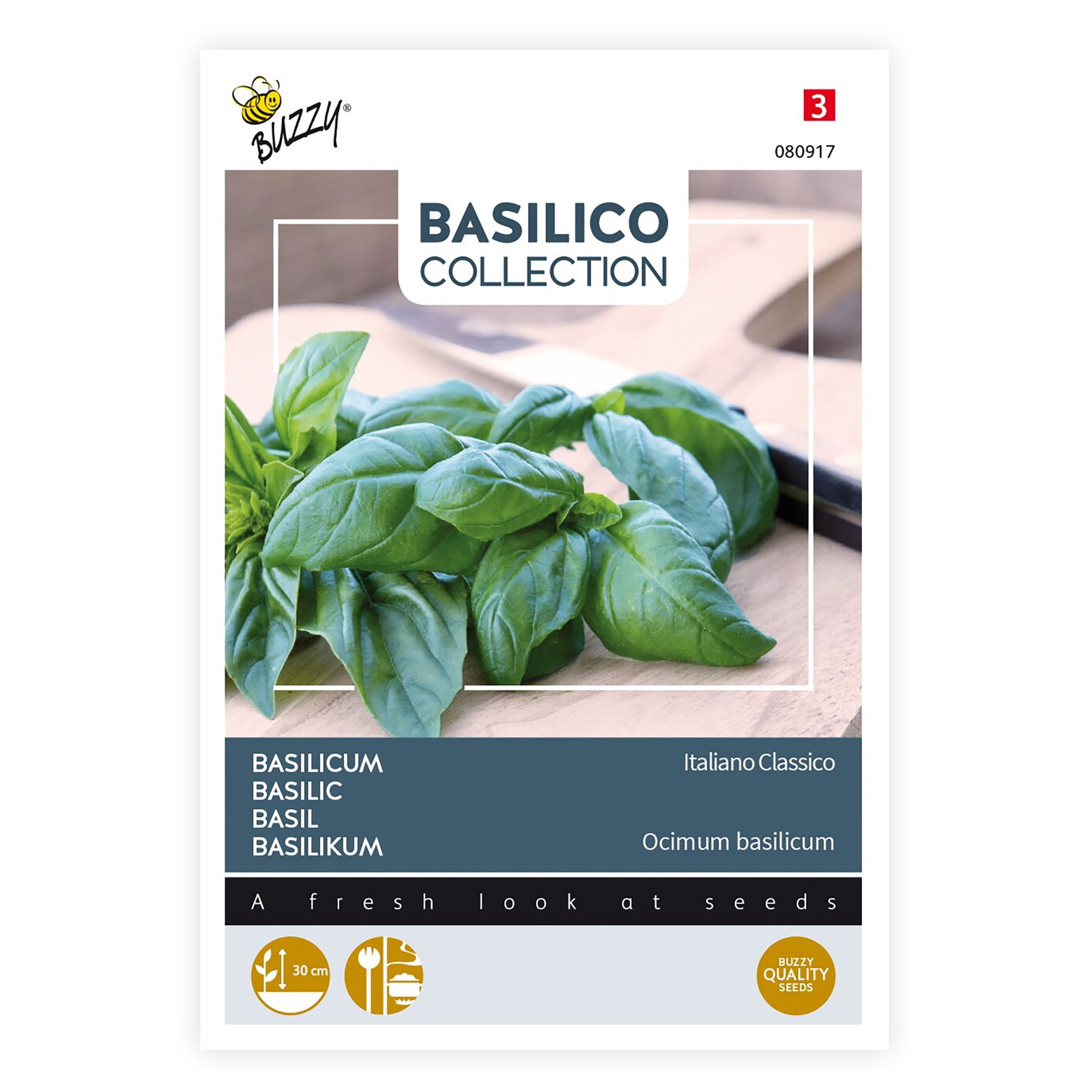 Basil Ocimum Italiano Classico 10 m Herb seeds