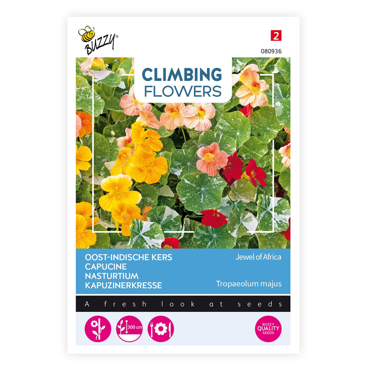 Nasturtium Tropaeolum 'Jewel of Africa' orange 5 m² - Flower seeds