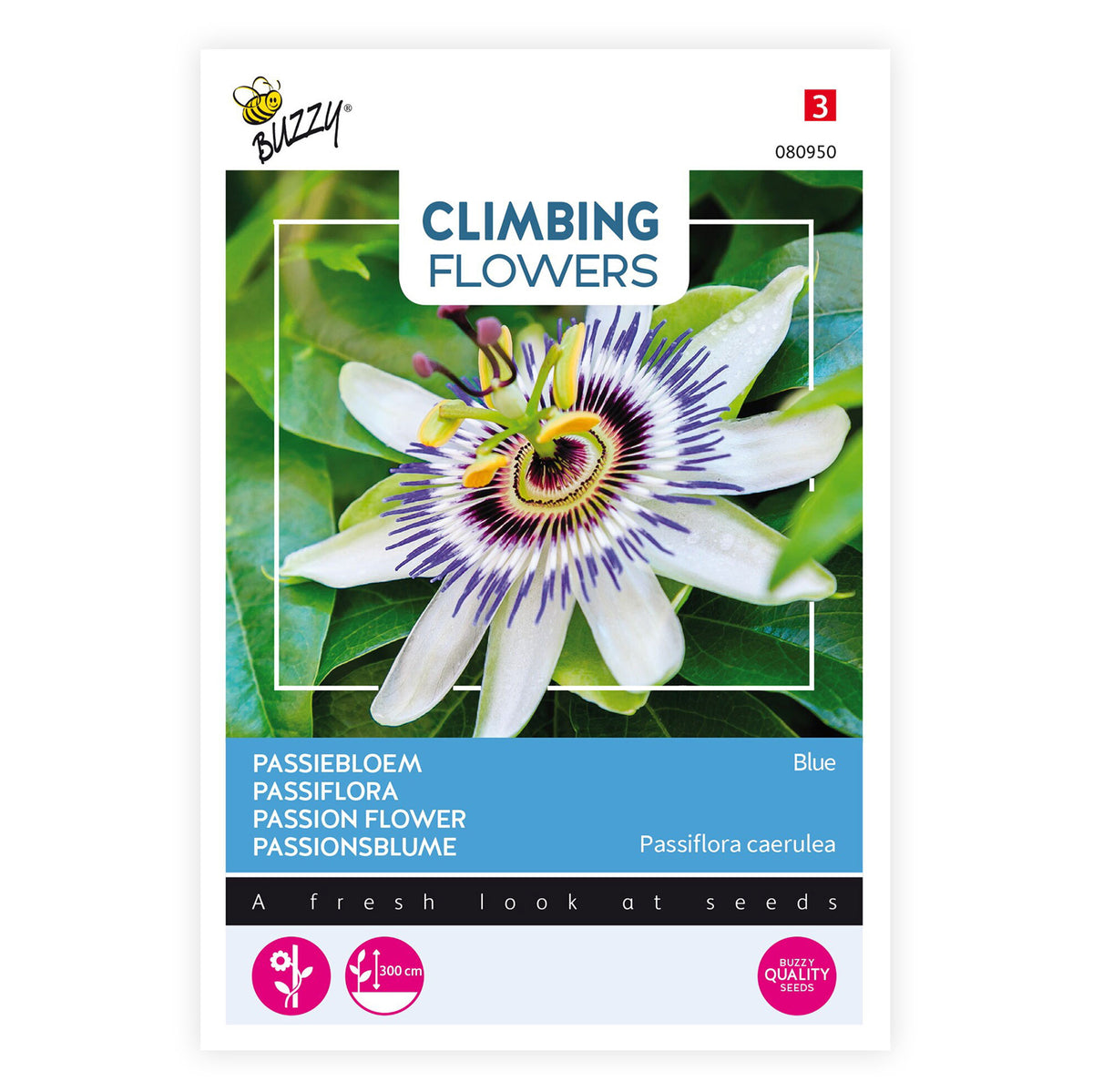Passion flower Passiflora caerulea blue 5 m² - Flower seeds