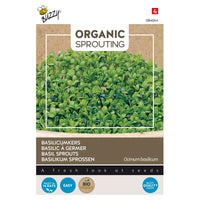 Basil Ocimum basilicum - Organic - Herb seeds