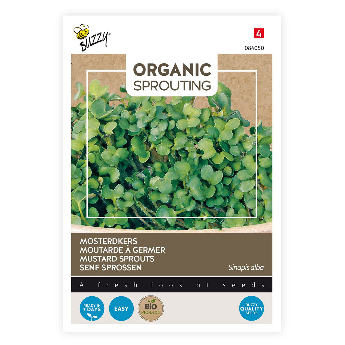 Mustard sprouts Sinapis alba - Bio Herb seeds