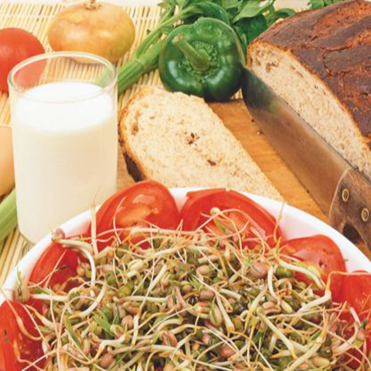 Mung bean sprouts Vigna radiata - Organic - Vegetable seeds