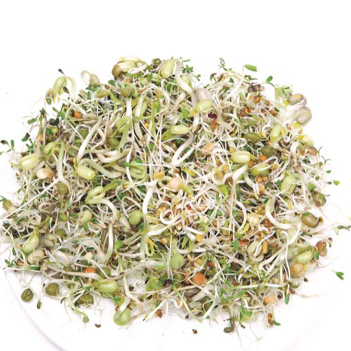 Sprout Mix - Organic - Vegetable seeds