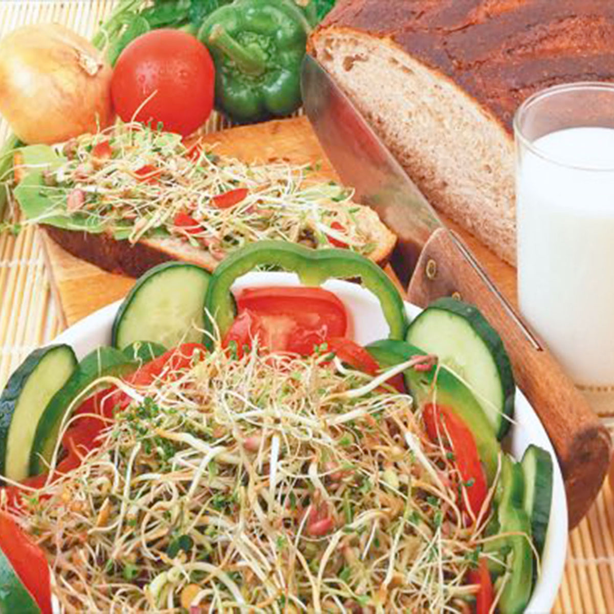 Sprout Mix - Organic - Vegetable seeds