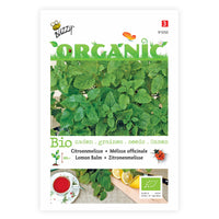 Lemon balm Melissa officinalis - Organic 20 m² - Herb seeds