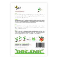 Dill Anethum graveolens - Organic 20 m² - Herb seeds