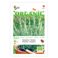 Rosemary Rosmarinus officinalis - Organic 2 m² - Herb seeds