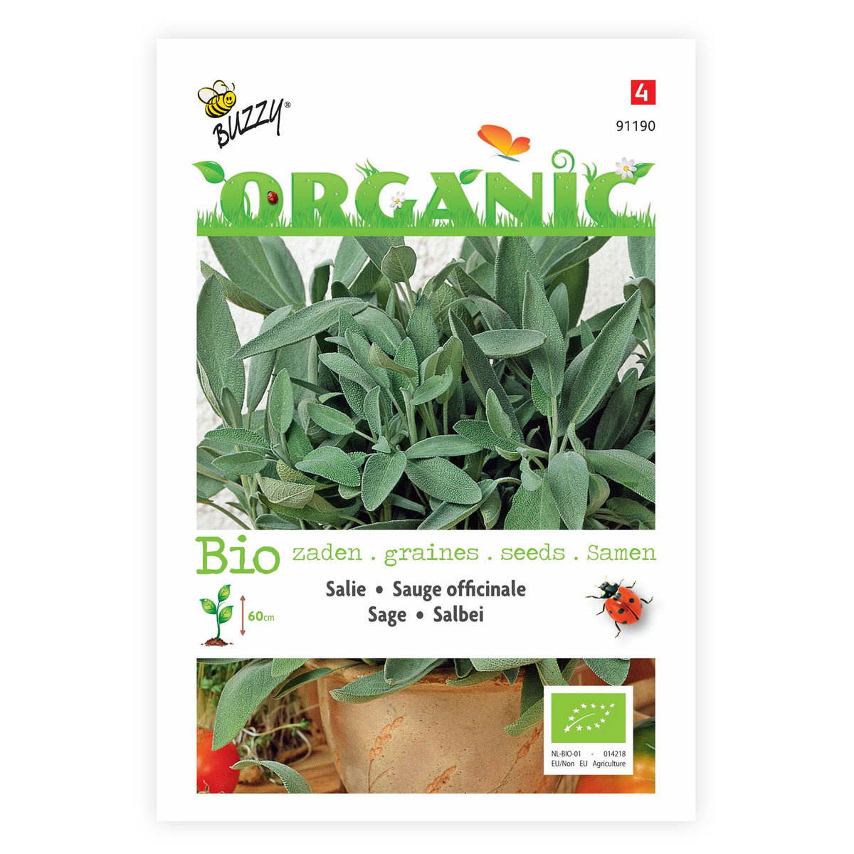 Sage Salvia officinalis - Organic 2 m² - Herb seeds