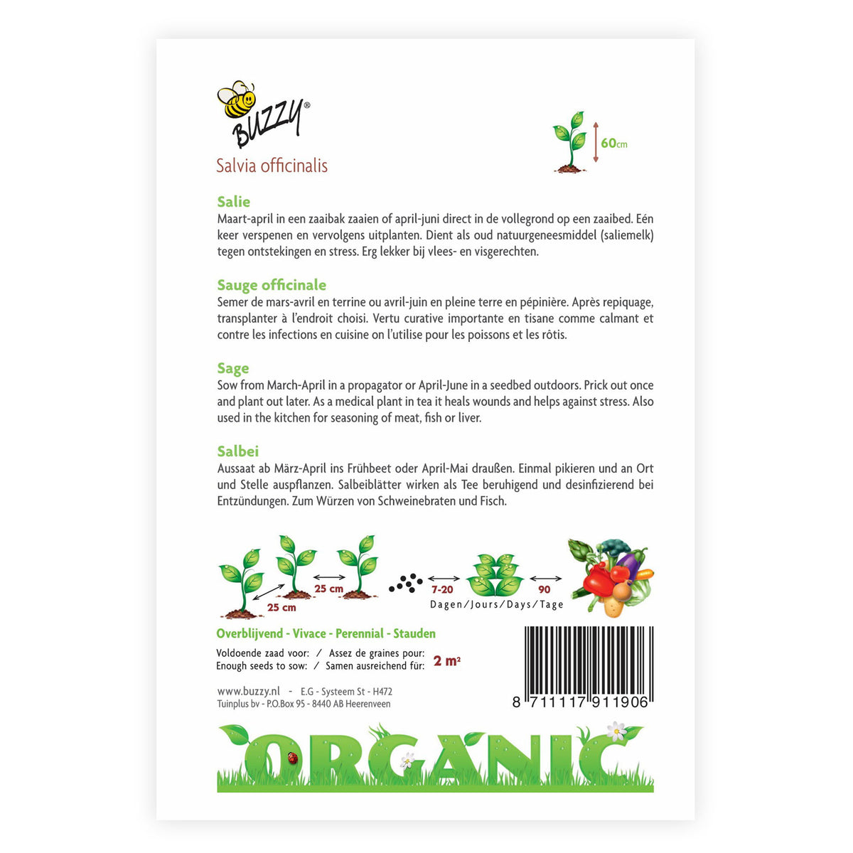 Sage Salvia officinalis - Organic 2 m² - Herb seeds