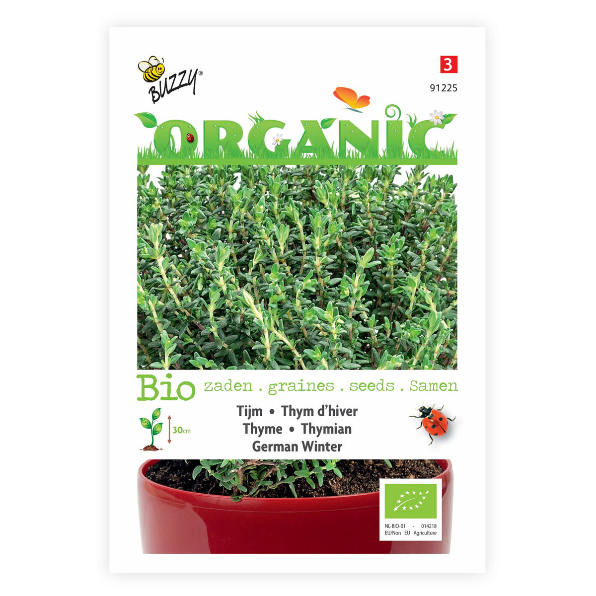 Thyme Thymus vulgaris - Organic 20 m² - Herb seeds