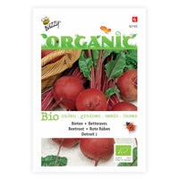 Red beetroot Beta 'Detroit' - Organic 3 m² - Vegetable seeds