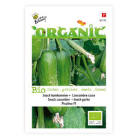 Cucumber Cucumis 'Picolino' - Organic F1 - 2 m² - Vegetable seeds