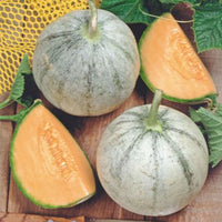 Melon Cucumis 'Charentais' - Organic 3 m² - Fruit seeds