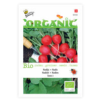 Radish Raphanus 'Saxa 2' - Organic 2 m² - Vegetable seeds