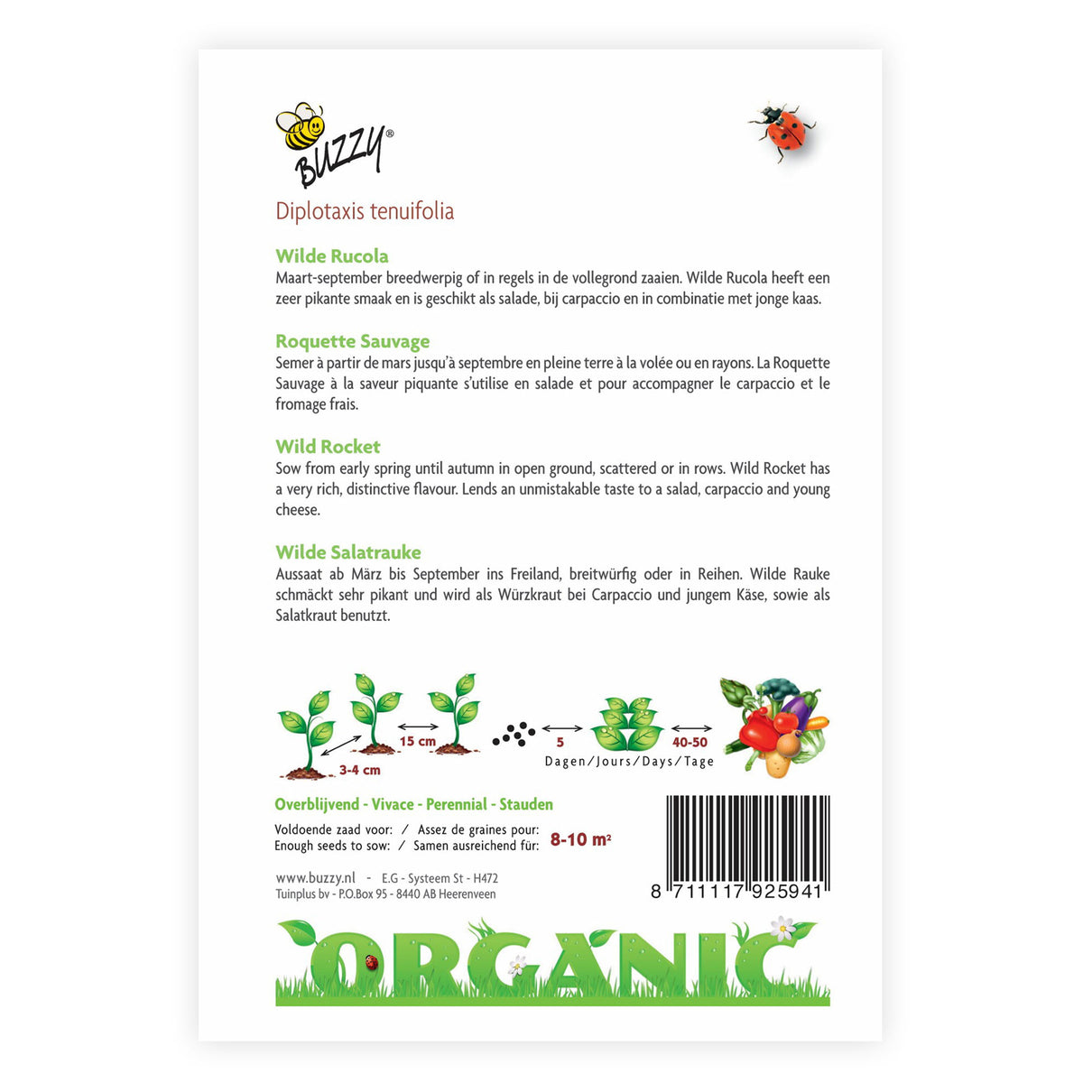 Wild rocket Eruca sativa - Organic 10 m² - Herb seeds