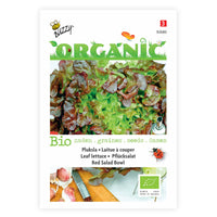 Oak leaf lettuce Lactuca 'Red salad bowl' - Organic 30 m² - Vegetable seeds