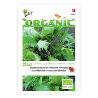 Mesclun Brassica chinennis - Organic 3 m² - Vegetable seeds