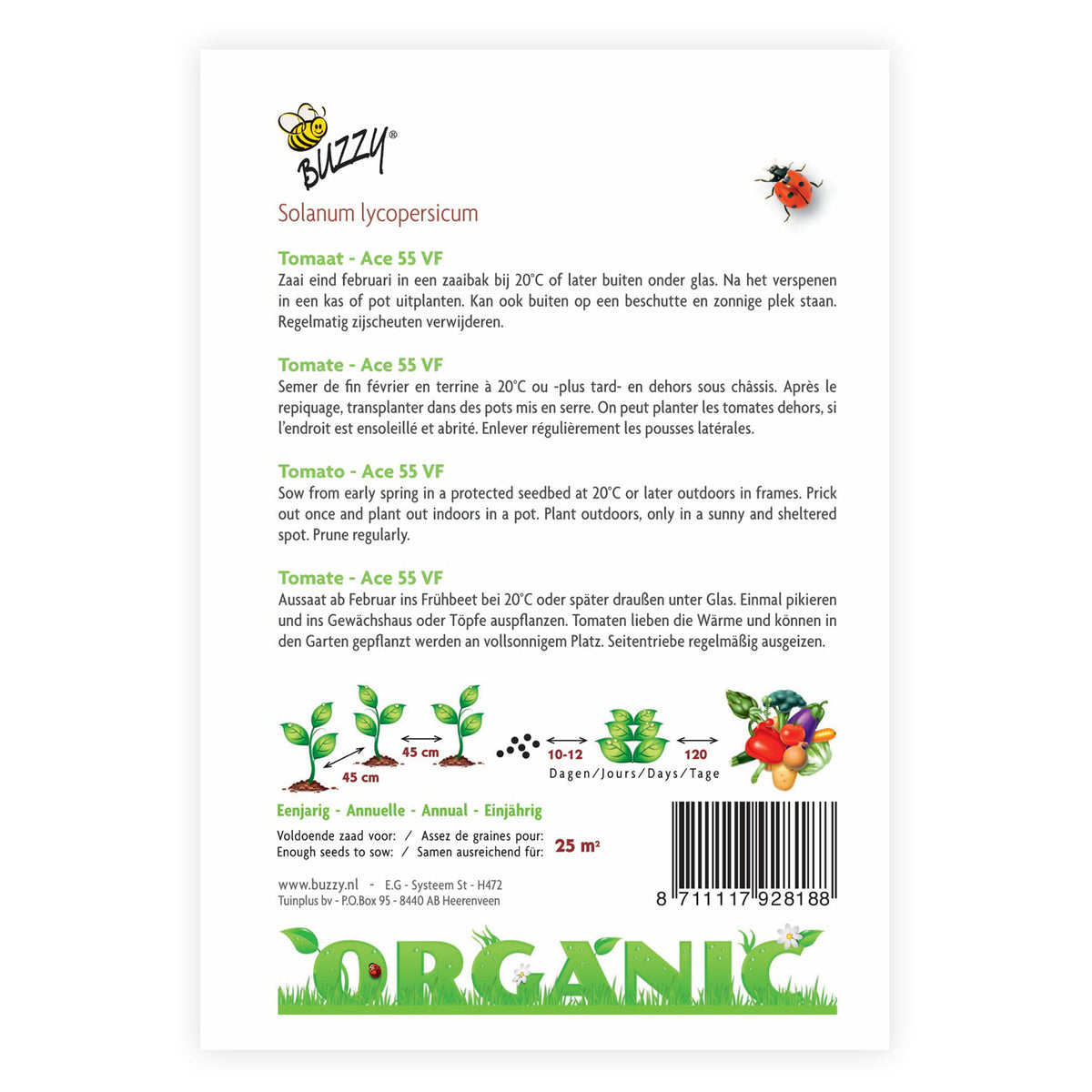Tomato Solanum 'Ace' - Organic 25 m² - Vegetable seeds