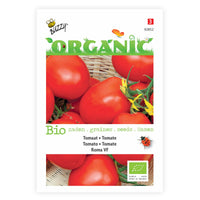 Tomato Solanum 'Shirley' - Bio 10 m² - Vegetable seeds