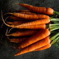 Carrot Daucus 'Nantes 2' - Organic 12,5 m² - Vegetable seeds
