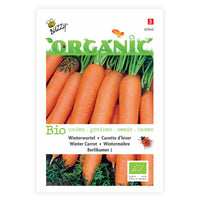 Winter carrot Daucus 'Berlikumer 2' - Organic 12 m² - Vegetable seeds
