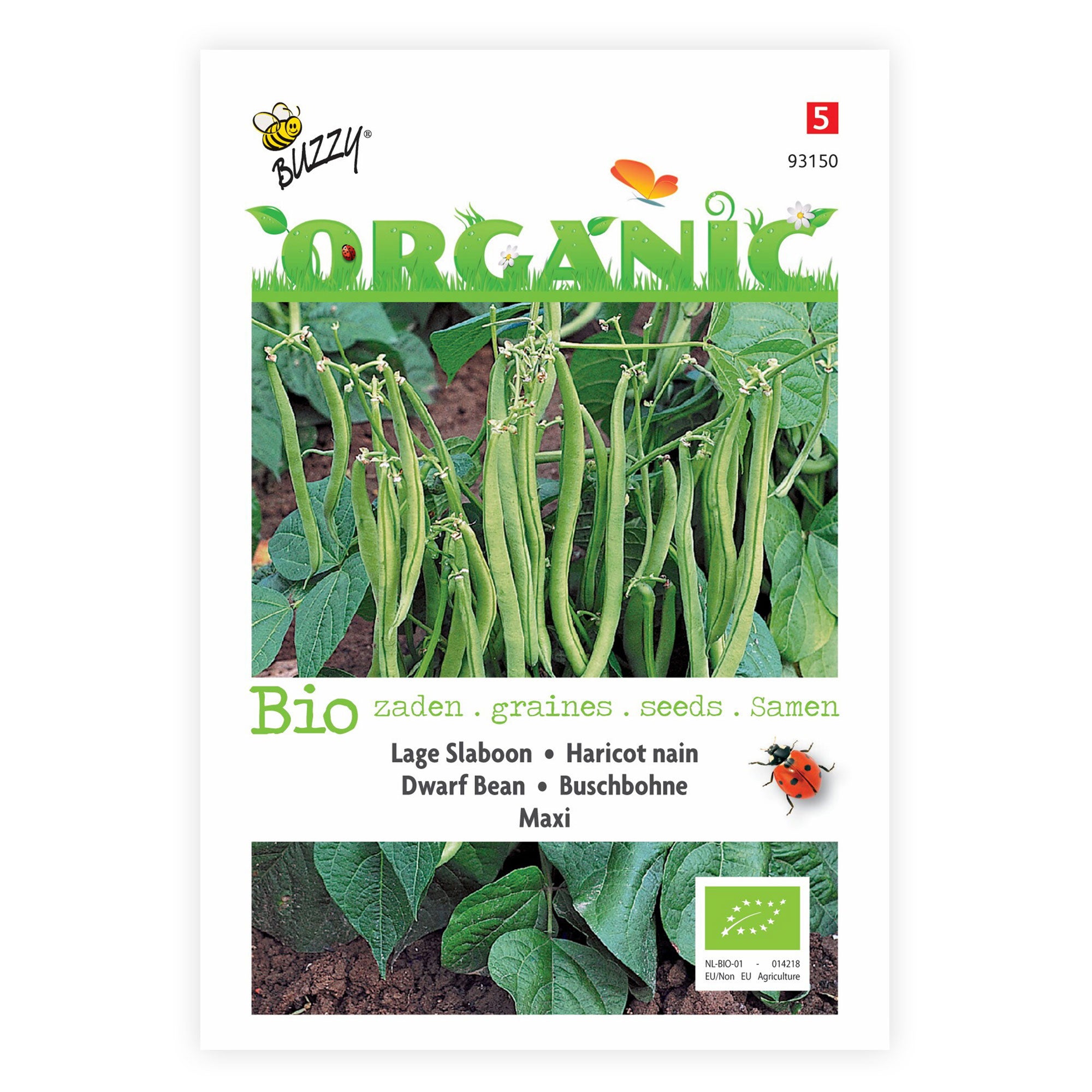 Buy vegetable seed now Dwarf French beans Phaseolus 'Maxi