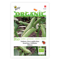 Broad beans Vicia 'Witkiem' - Organic 1 m² - Vegetable seeds