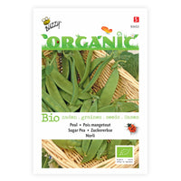 Mangetout Pisum 'Norli' - Organic 2 m² - Vegetable seeds