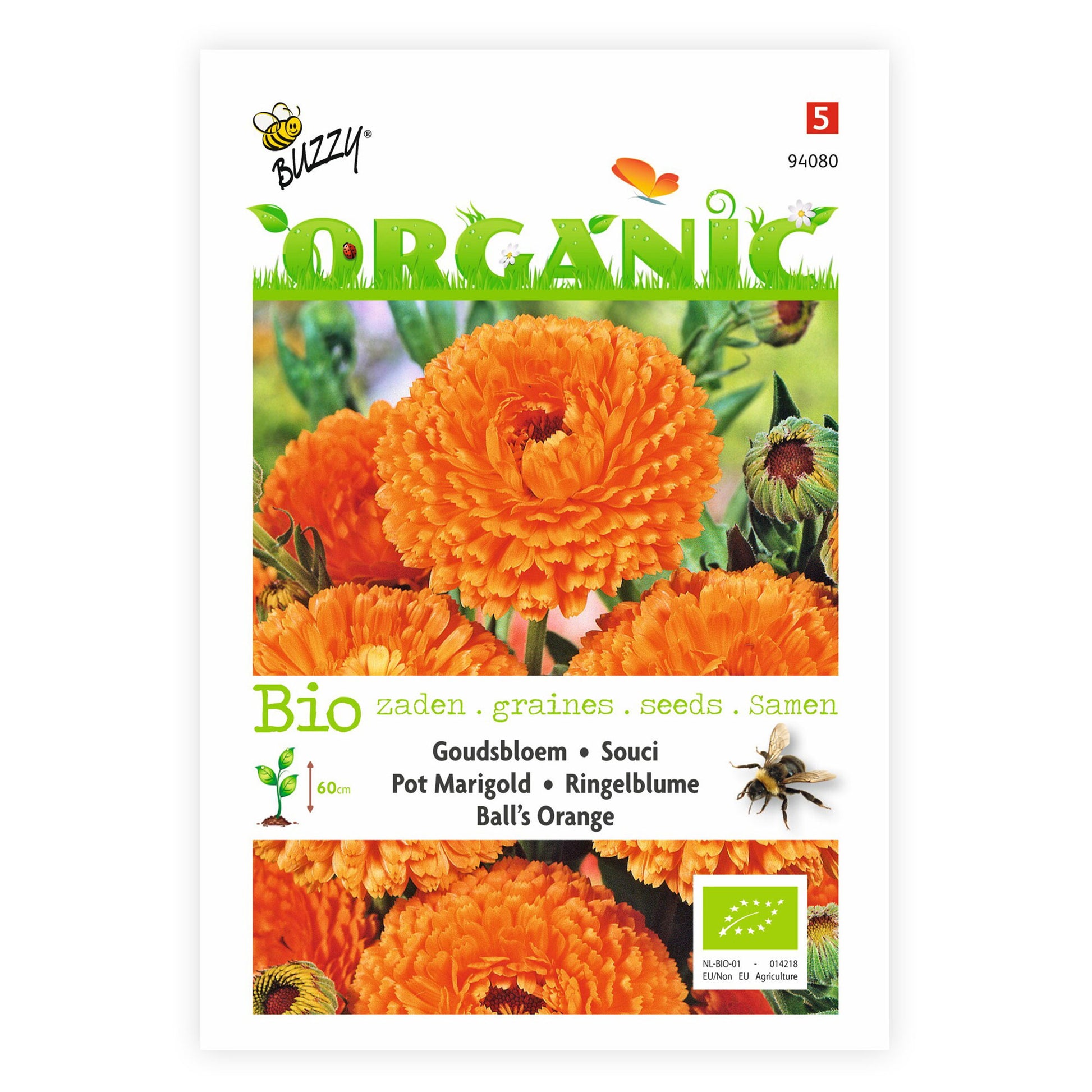 marigold calendula seeds Buy flower seed now Marigold Calendula 'Ball' - Organic orange 3 m² - Flower seeds