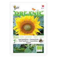 Sunflower Helianthus 'Sunspot' - Organic yellow 3 m² - Flower seeds