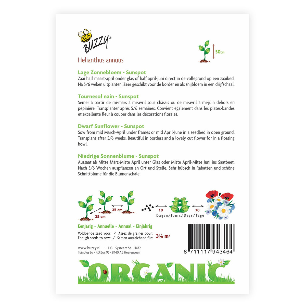 Sunflower Helianthus 'Sunspot' - Organic yellow 3 m² - Flower seeds