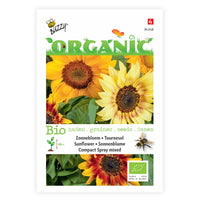 Sunflower Helianthus 'Compact Spray' - Organic yellow 3 m² - Flower seeds