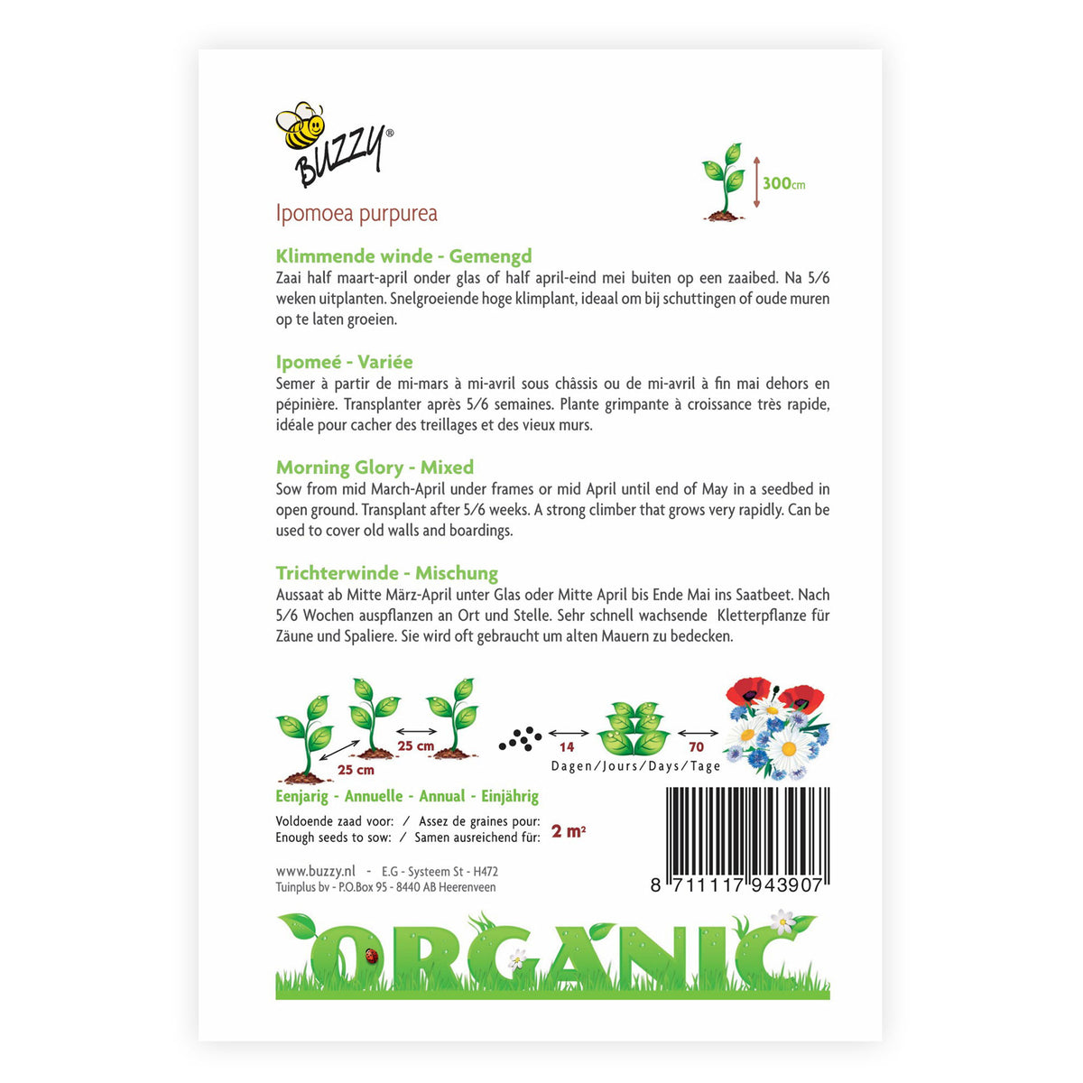 Morning glory Ipomoea mix - Organic - Flower seeds Mix