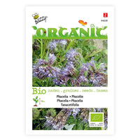 Lacy phacelia Phacelia tanacetifolia - Organic purple 0,5 m² - Flower seeds