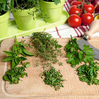 Kitchen herbs - Mix including green pots and tray - Herb seeds