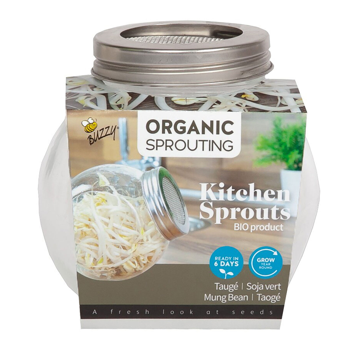 Mung bean sprouts Vigna radiata - Organic including Cultivation set - Vegetable seeds
